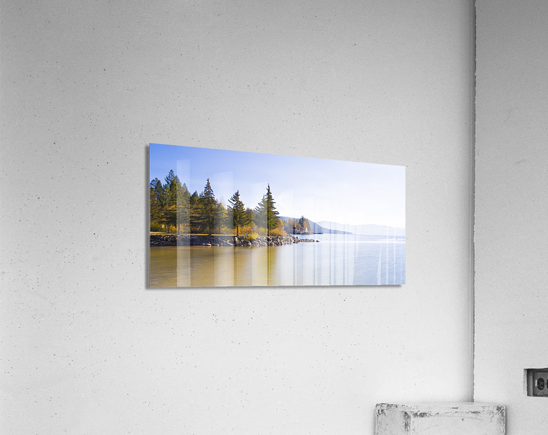 Acrylic Print