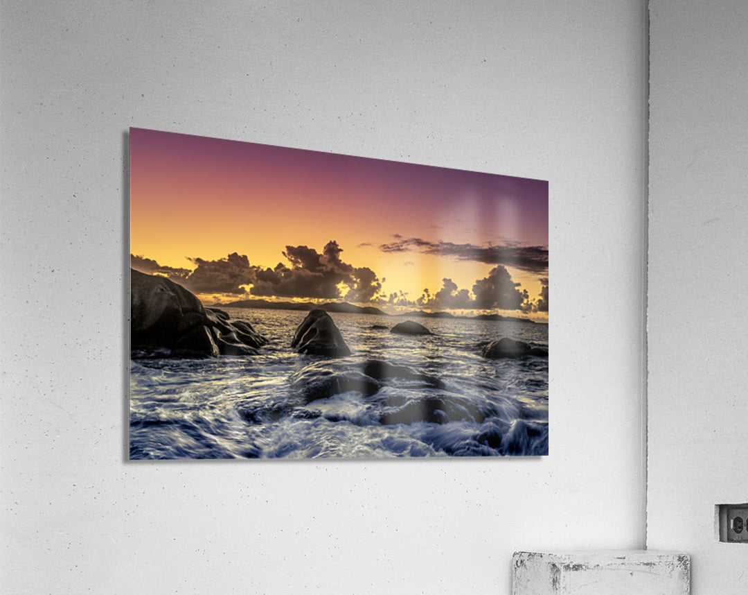 Acrylic Print