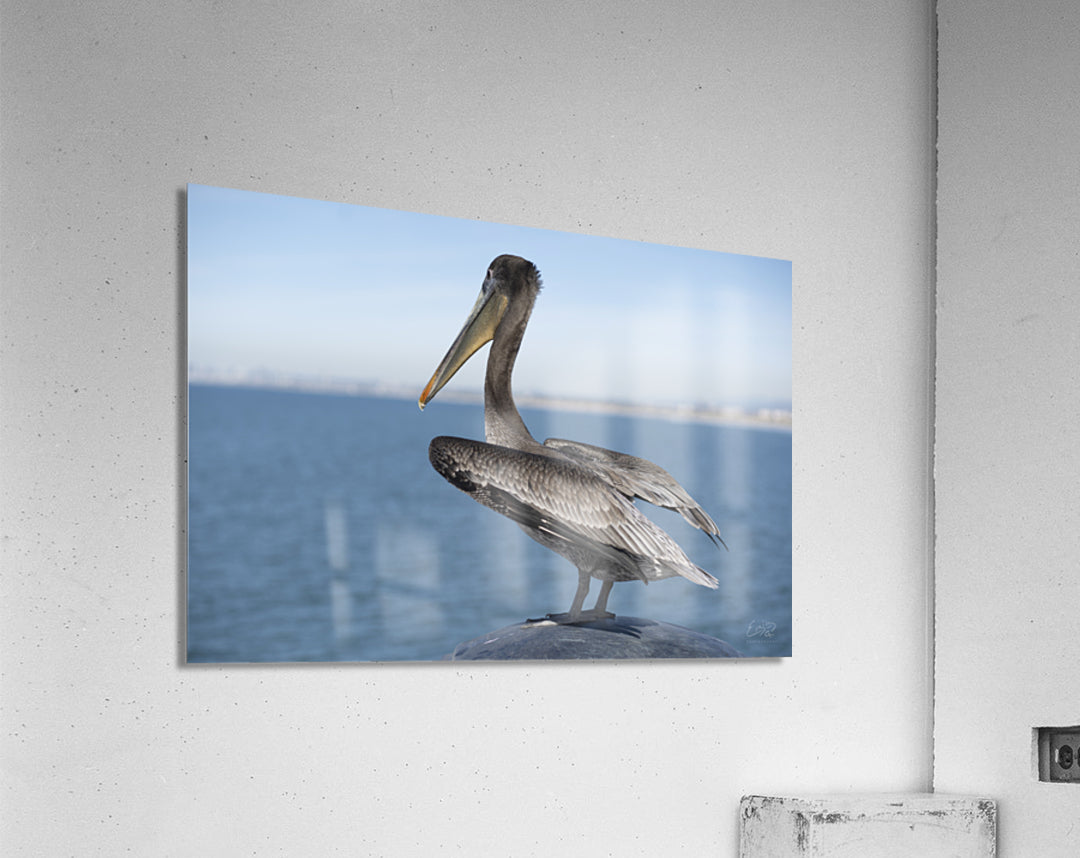 Acrylic Print