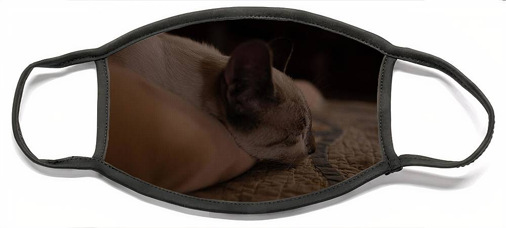 Cat Nap Closeup - Face Mask