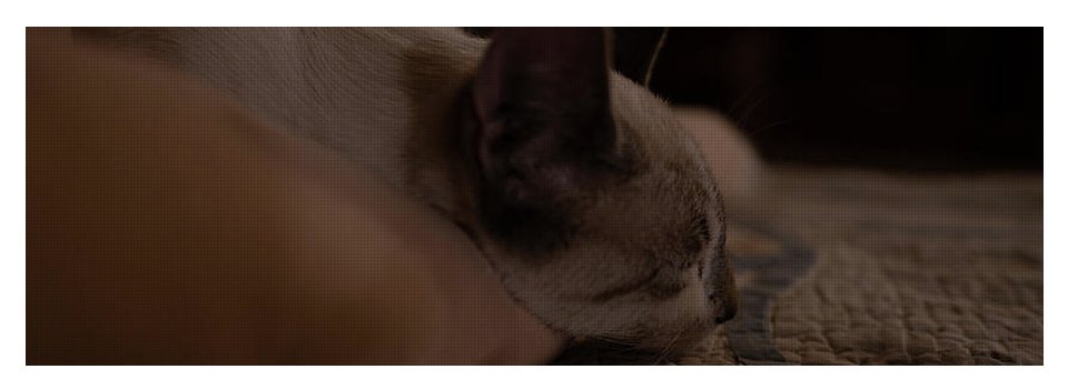 Cat Nap Closeup - Yoga Mat