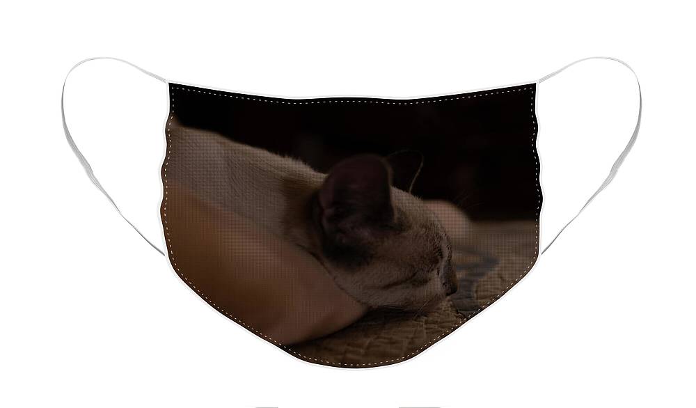 Cat Nap Closeup - Face Mask