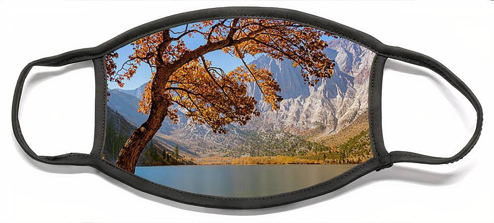 Convict Lake Pic-Nick - Face Mask