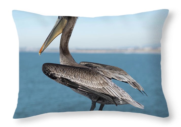 Don't Make Me Fly Over There - Throw Pillow