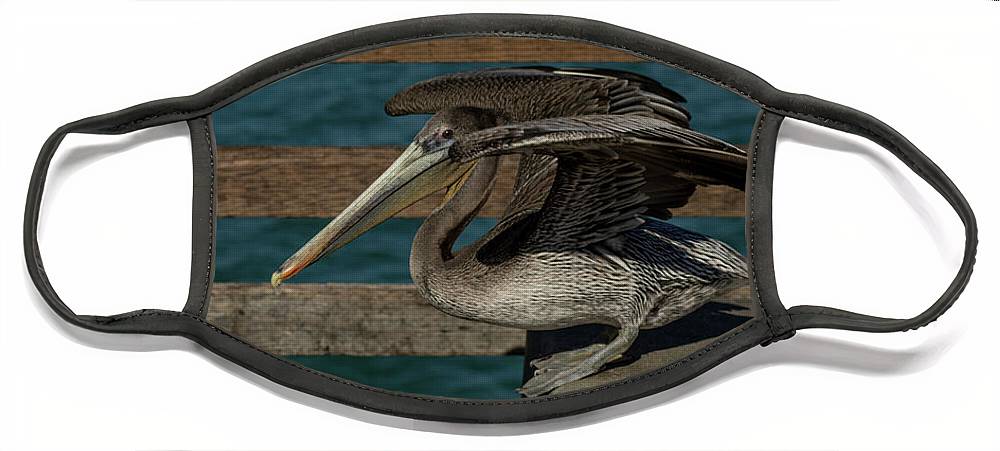 Flexing Pelican - Face Mask
