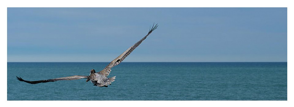 Flying Pelican - Yoga Mat