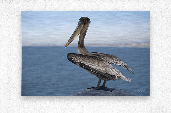 Brushed Metal Print