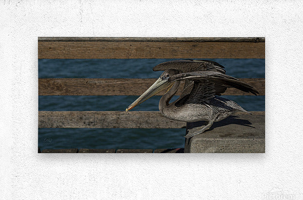 Brushed Metal Print