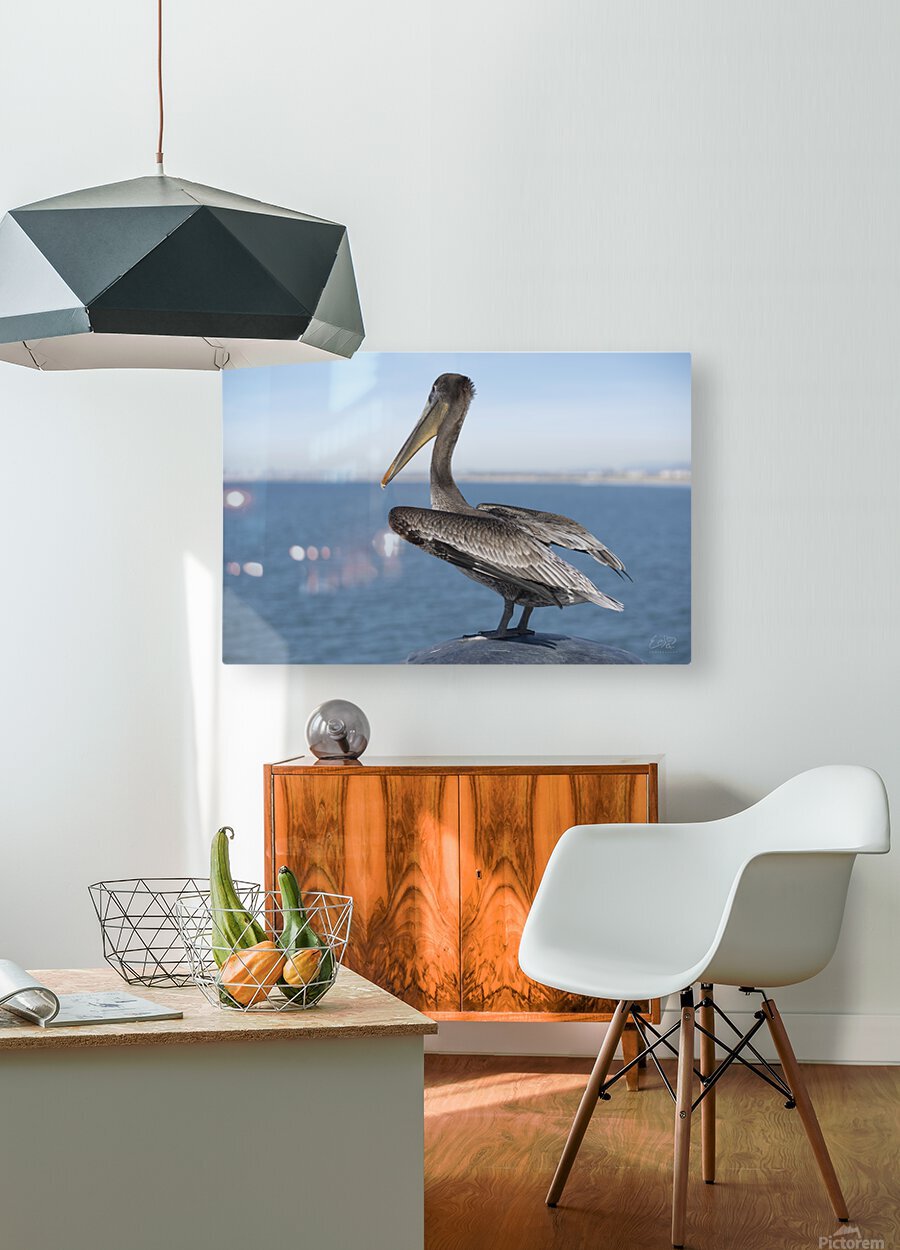 HD Sublimation Metal Print