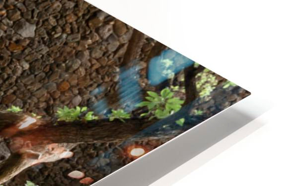 HD Sublimation Metal Print