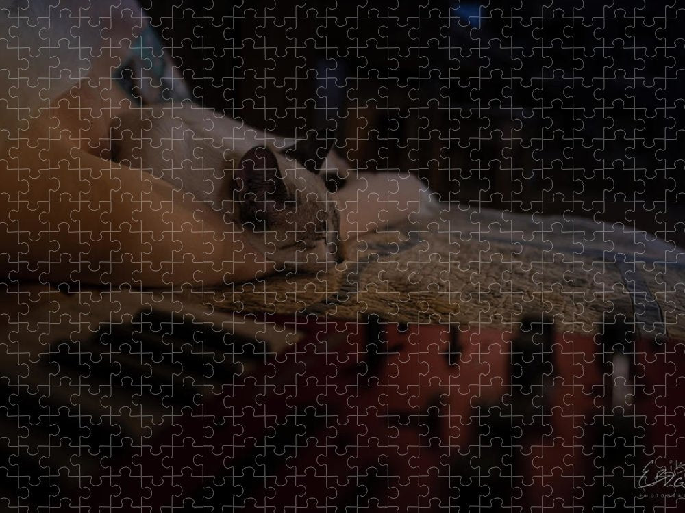 The Cat and the Keyboard - Puzzle