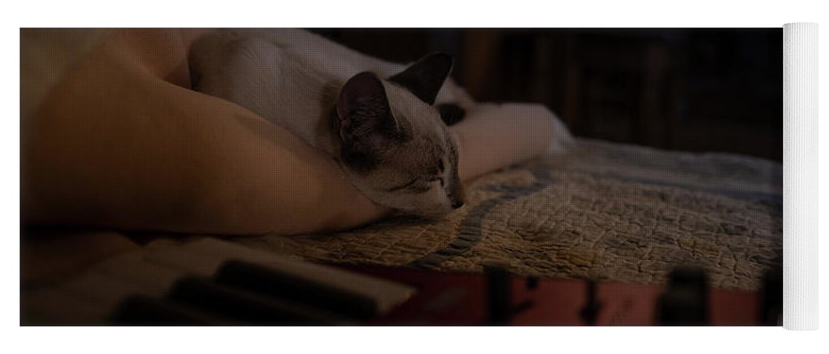 The Cat and the Keyboard - Yoga Mat