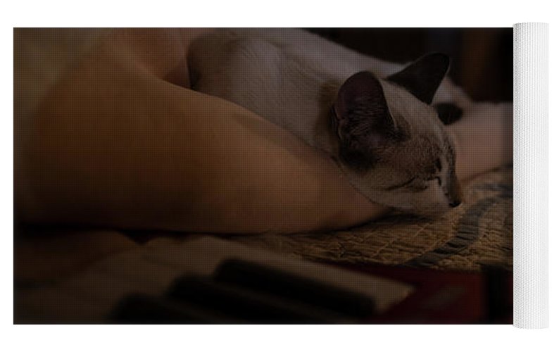 The Cat and the Keyboard - Yoga Mat