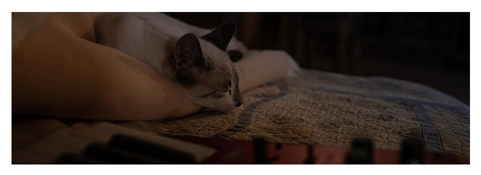 The Cat and the Keyboard - Yoga Mat