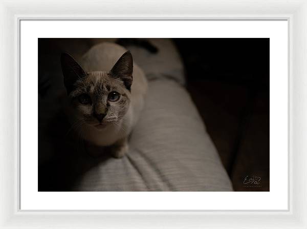 Wanna Play? - Framed Print