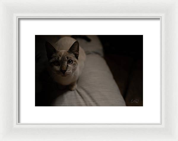 Wanna Play? - Framed Print