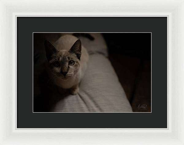 Wanna Play? - Framed Print