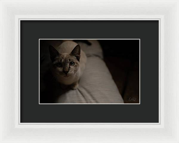 Wanna Play? - Framed Print