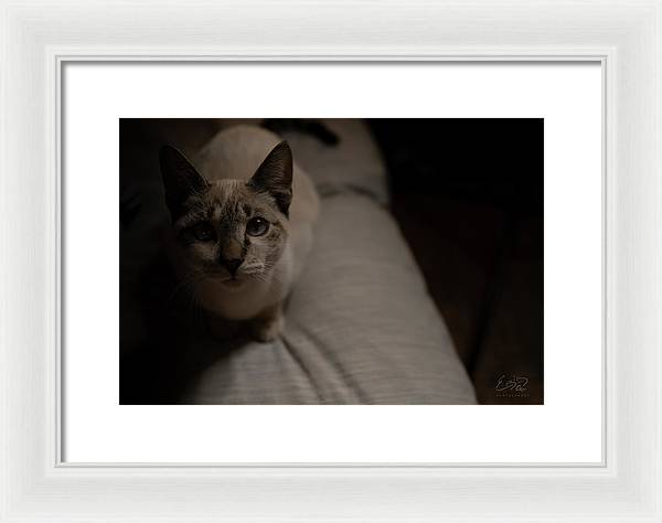 Wanna Play? - Framed Print