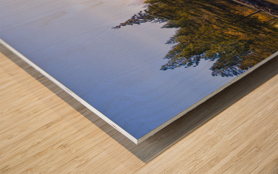 Wood Print