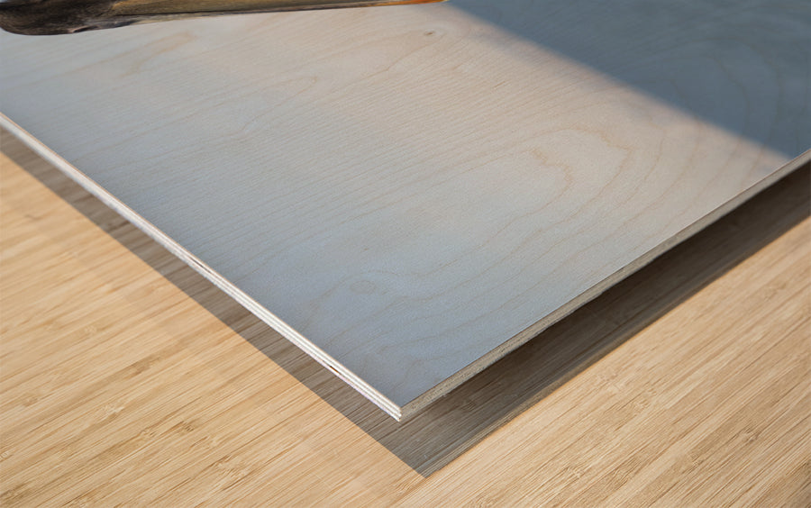 Wood Print