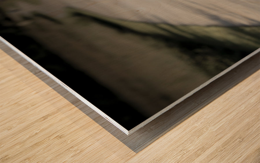 Wood Print