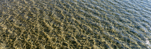 Lake Tahoe Pier Water