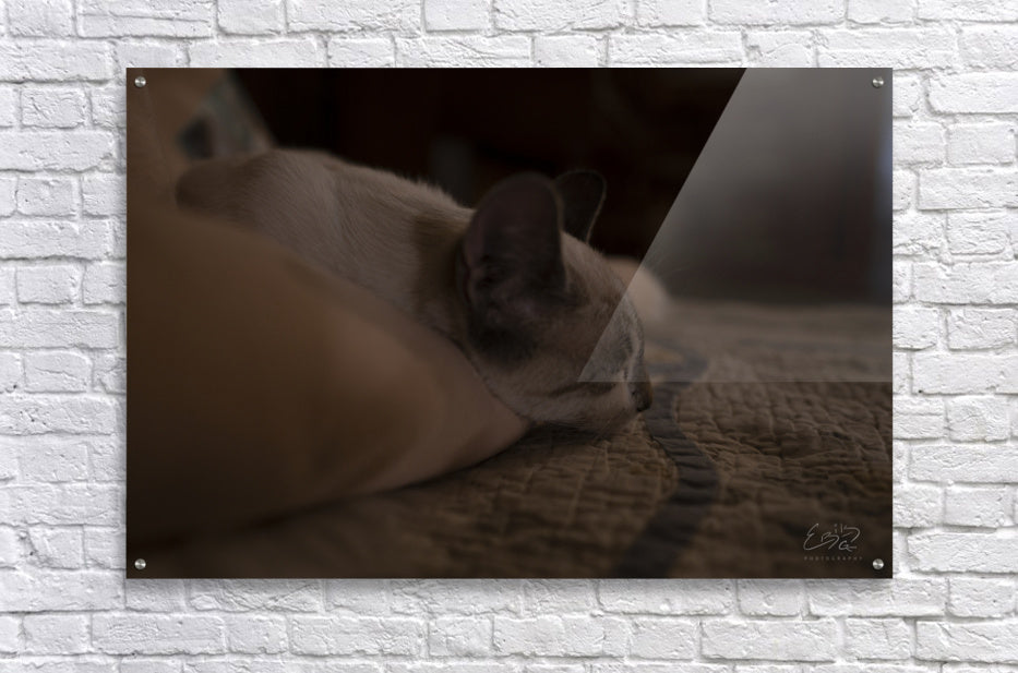 Acrylic Print