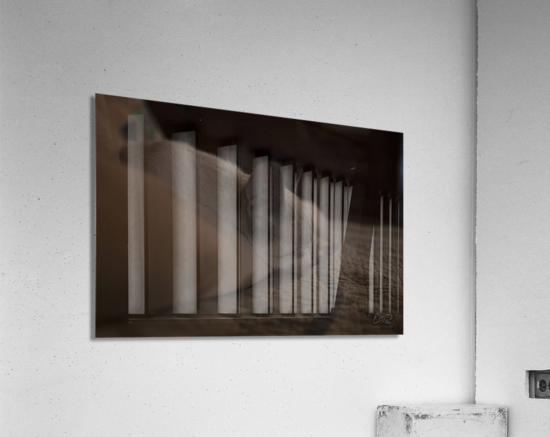 Acrylic Print