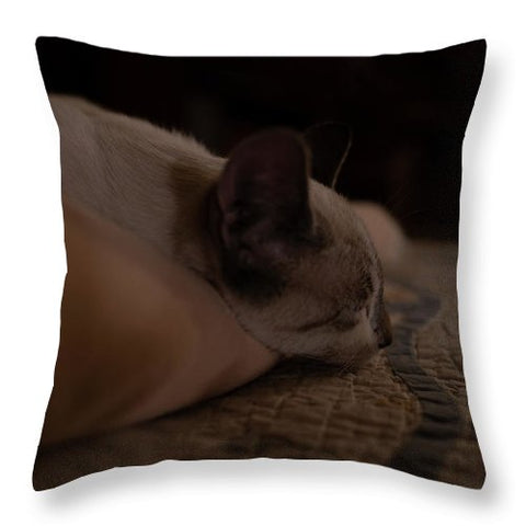 Cat Nap Closeup - Throw Pillow