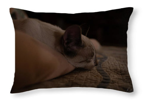Cat Nap Closeup - Throw Pillow