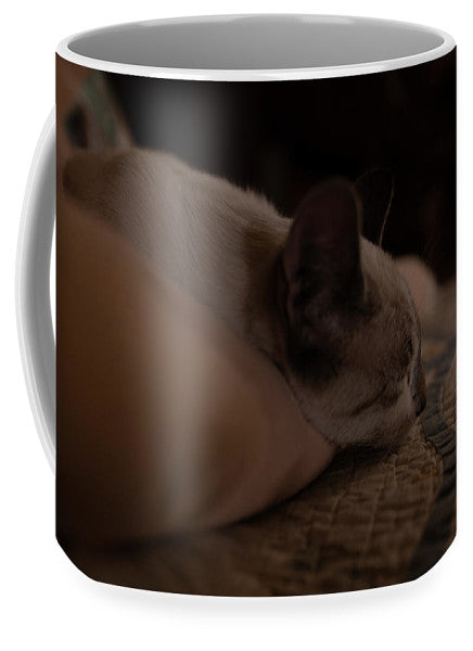 Cat Nap Closeup - Mug