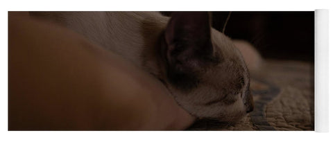 Cat Nap Closeup - Yoga Mat
