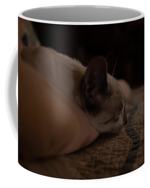 Cat Nap Closeup - Mug