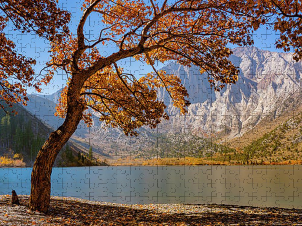 Convict Lake Pic-Nick - Puzzle