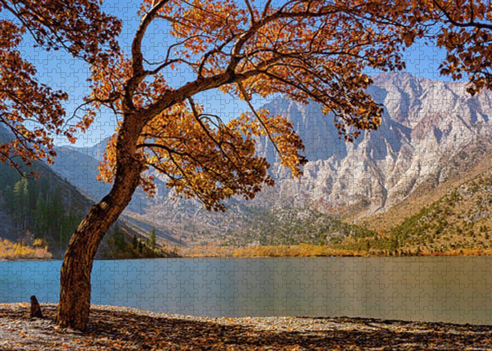 Convict Lake Pic-Nick - Puzzle