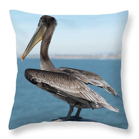 Don't Make Me Fly Over There - Throw Pillow