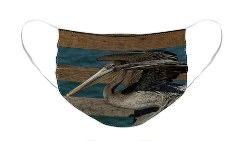 Flexing Pelican - Face Mask