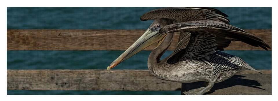 Flexing Pelican - Yoga Mat