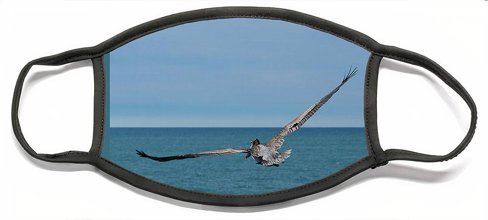 Flying Pelican - Face Mask