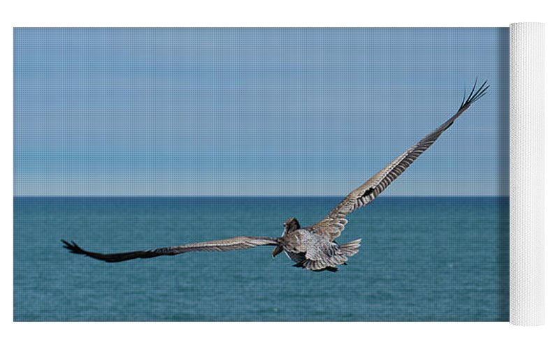 Flying Pelican - Yoga Mat