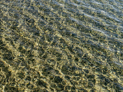 Lake Tahoe  Beach Water - Puzzle