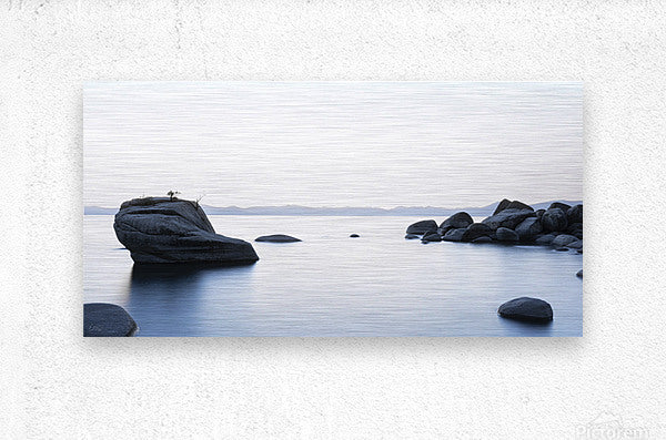 Brushed Metal Print