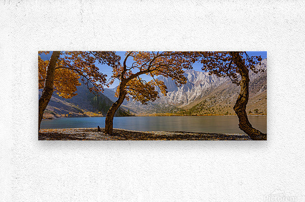 Brushed Metal Print