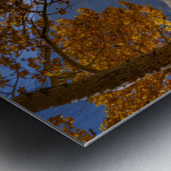 Brushed Metal Print