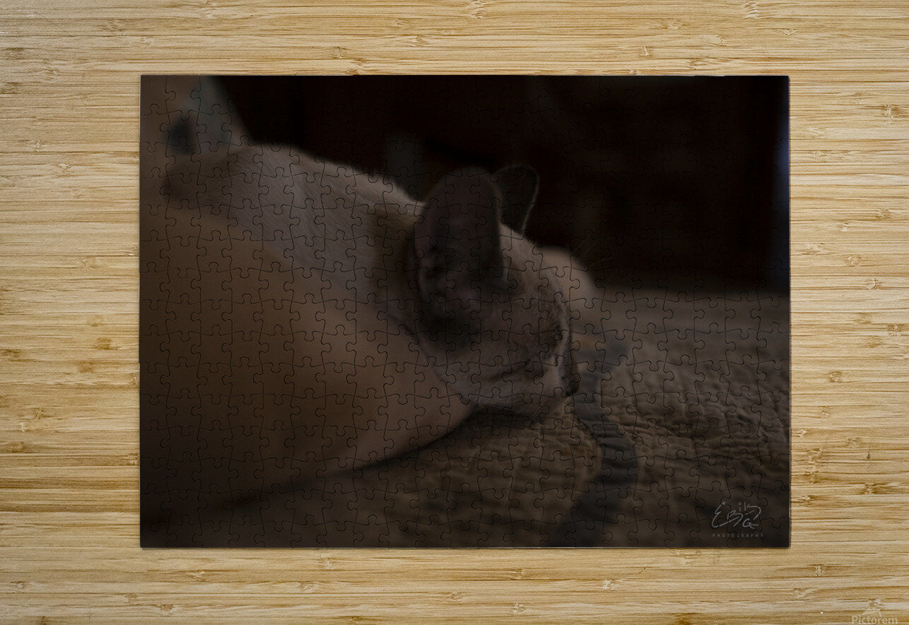 puzzle
