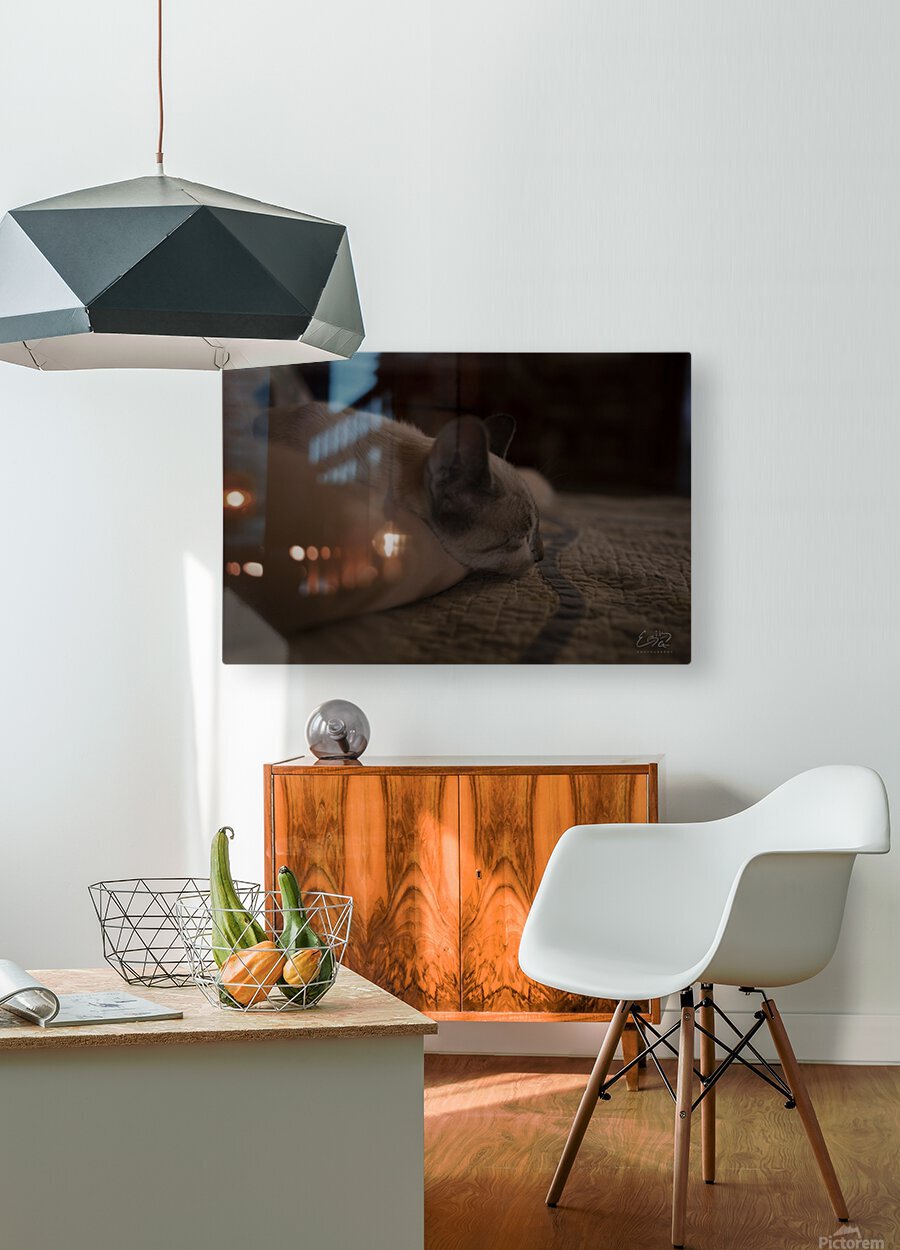 HD Sublimation Metal Print