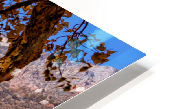 HD Sublimation Metal Print