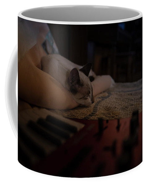 The Cat and the Keyboard - Mug