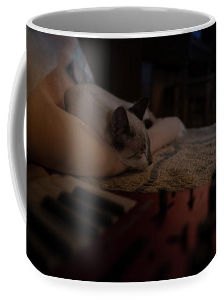 The Cat and the Keyboard - Mug